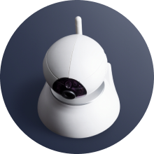 Dome & 360° Cameras